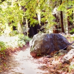 2018-11-22 _ 56mm _  Big Sur.jpg